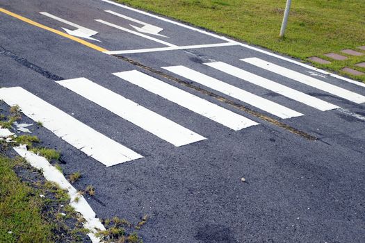 zebra way on the asphalt road surface