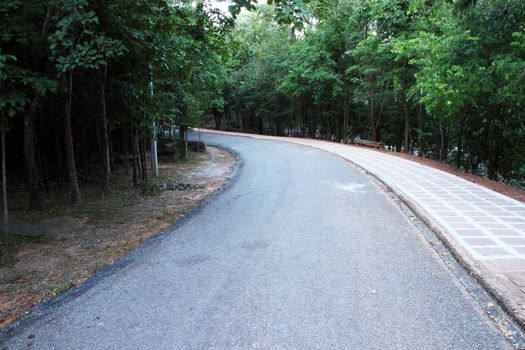 country curved road with trees on both sides