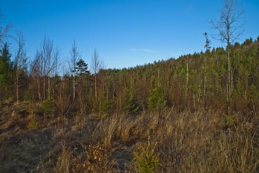 picture is shot in november 2012 at "Bakke" which is a rural village in halden municipality