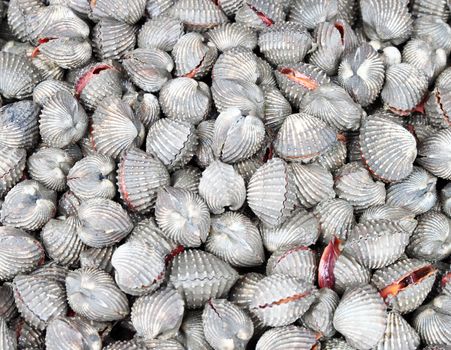 Cockles at the market ,Thailand