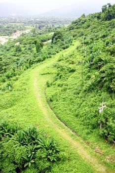 small green walk way on the mountain