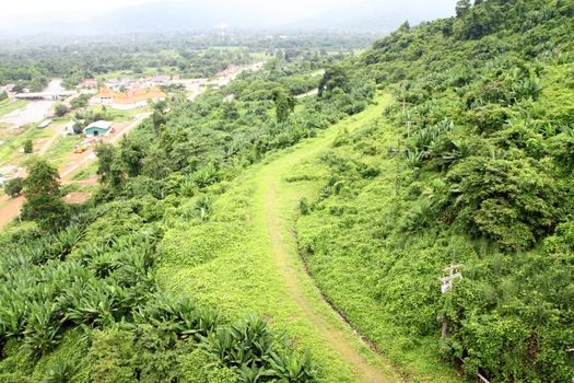 small green walk way on the mountain