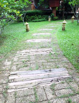 wooden pathway in the garden