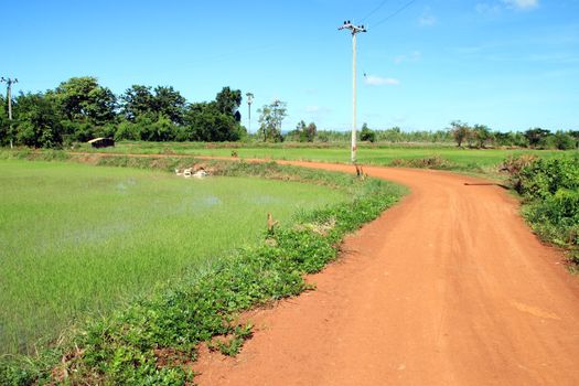 Soil road in countryside with blue sky