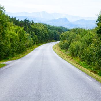 Scenic winding road through green forest in Norway