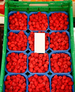 Freshly harvested raspberries at market in Norway
