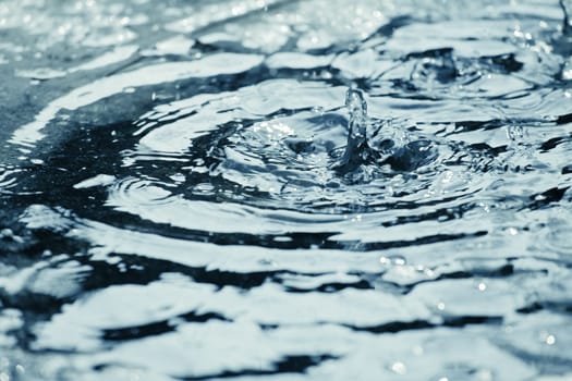 Water drop making a ripple on the surface