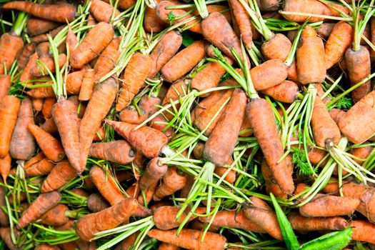 Harvested fresh carrots in container for sale in Sri Lanka