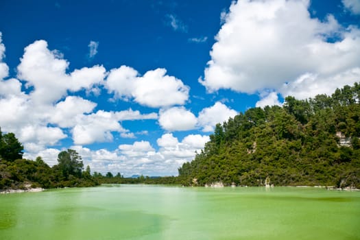 The green water of Lake Ngakoro at Wai-O-Tapu geothermal area in New Zealand