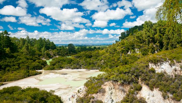 Frying Pan Flat pool at Wai-O-Tapu geothermal area in New Zealand