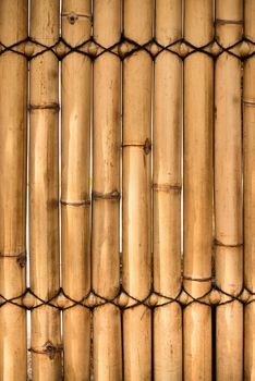 Natural bamboo fence with chinks fixed by rope