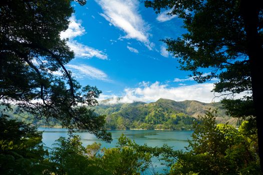 Marlborough Sounds as seen from Queen Charlotte Track