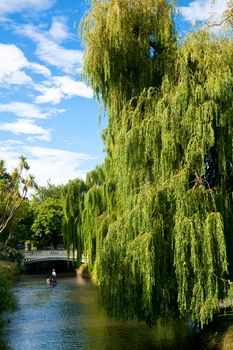 Punting on the Avon River in Christchurch, New Zealand