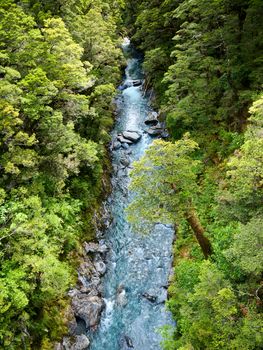 Top view at a stream in rain forest at New Zealand