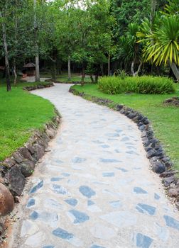 Path through a Green Garden