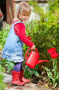 Little girl watering red tulip with red watering can