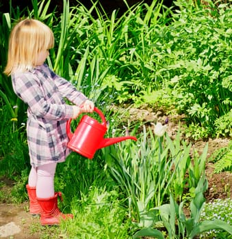 Little girl watering white tulip with red watering can