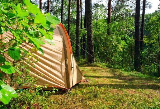 Camping tent in a sunny forest after rain