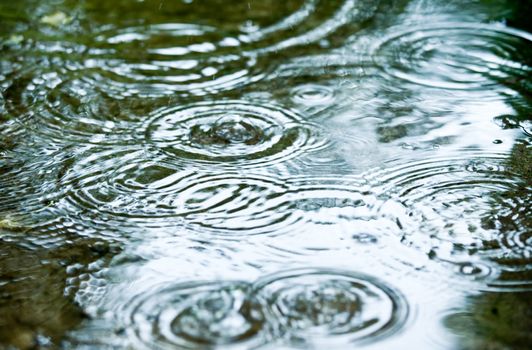 Rain drops rippling in a puddle