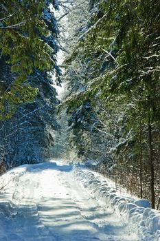 Snowy road at winter forest
