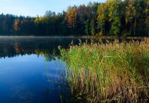 Autumn morning at remote forest lake
