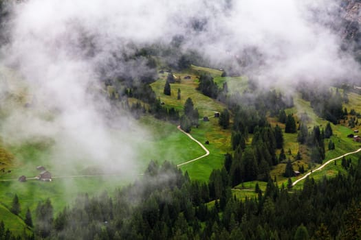 high mountain landscape, green grass