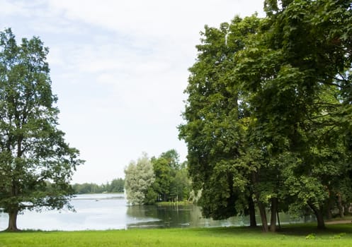 Lake in the forest on a cloudy day