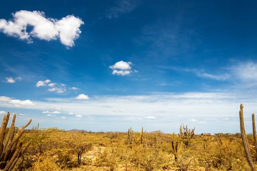 Desert landscape in La Guajira, Colombia with a deep blue sky