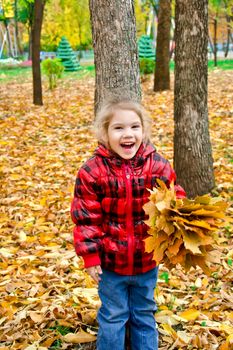 A little girl in a red plaid jacket with an armful of yellow leaves on a background of trees and yellow foliage