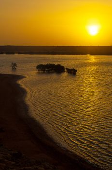 Sunrise over a bay with mangrove trees