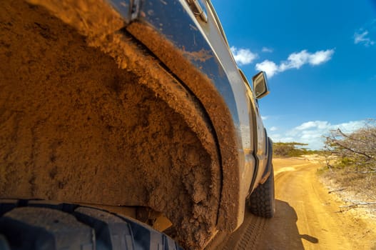 Muddy dirty wheel well on an SUV in a desert