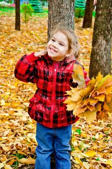 Little girl with a bouquet of yellow maple leaves on a background of trees and yellow foliage