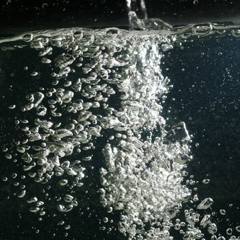 water bubbles macro close up