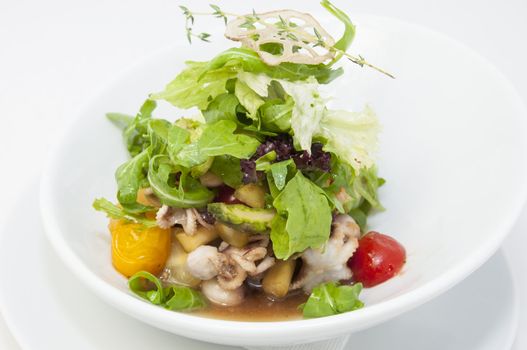 restaurant dish salad of octopus and greens and vegetables
