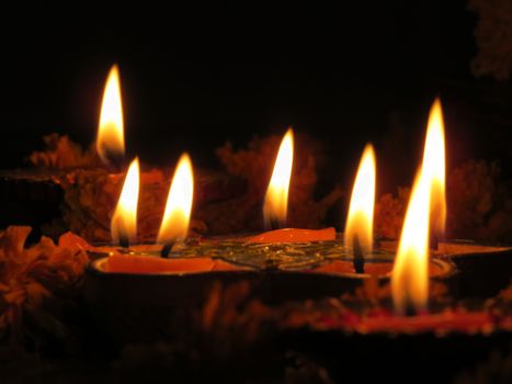 Holy lamps lit along with marigold flowers in a Hindu temple for a traditional ritual.