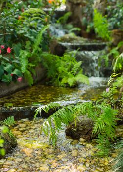 Green leaf with water fall in nature