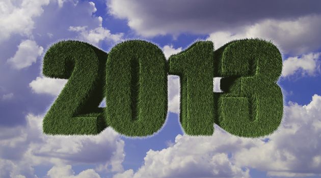 2013 New Year sign of green grass with blue sky. Eco concept 