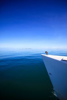 View of the bow of a sailing boat in calm blue sea.