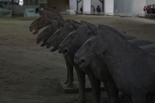 Horses of Terracotta Army, in Mausoleum of the First Qin Emperor, an UNESCO world heritage site, in Xian, China
