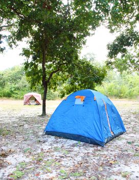 the blue tent on the forest