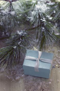 Gift box stands near the snow-covered trees