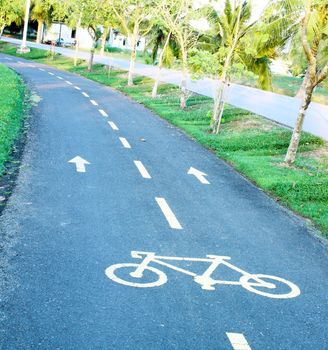 sinuous bicycle path in the park