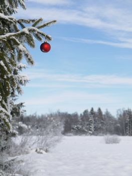 Christmas ornament hanging on a pine tree outside in the snow