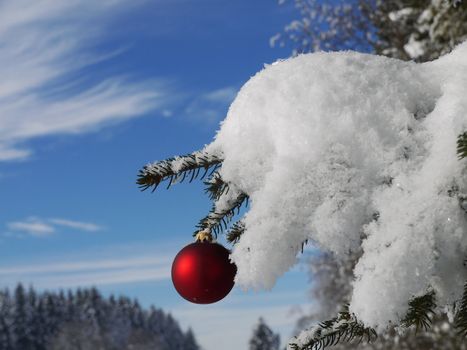 Christmas ornament hanging on a pine tree outside in the snow