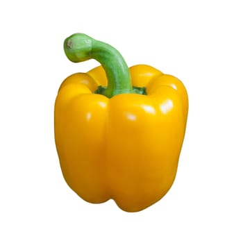 Yellow paprika