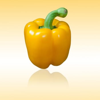 Yellow paprika