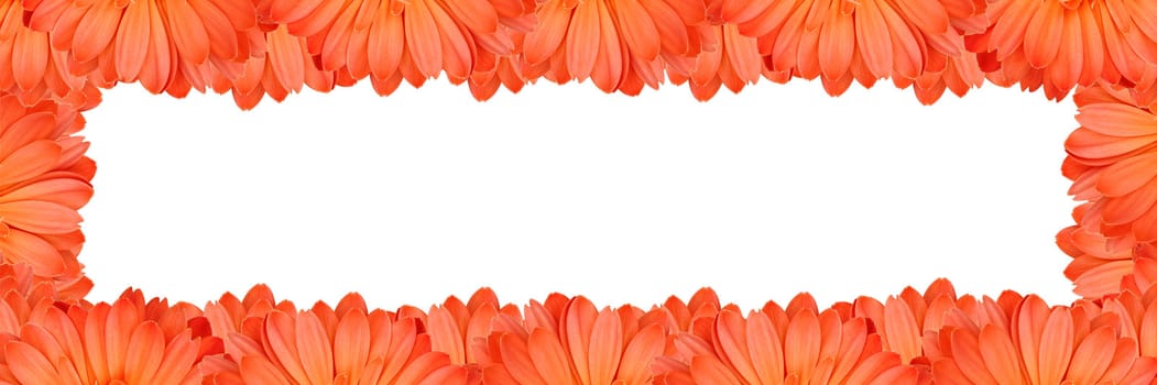 Gerbera flower create a frame on white background