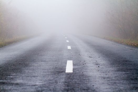 Asphalt road in an autumn fog