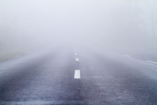 Asphalt road in an autumn fog