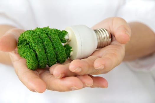 eco light bulb concept